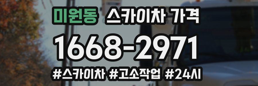 미원동 스카이차 가격