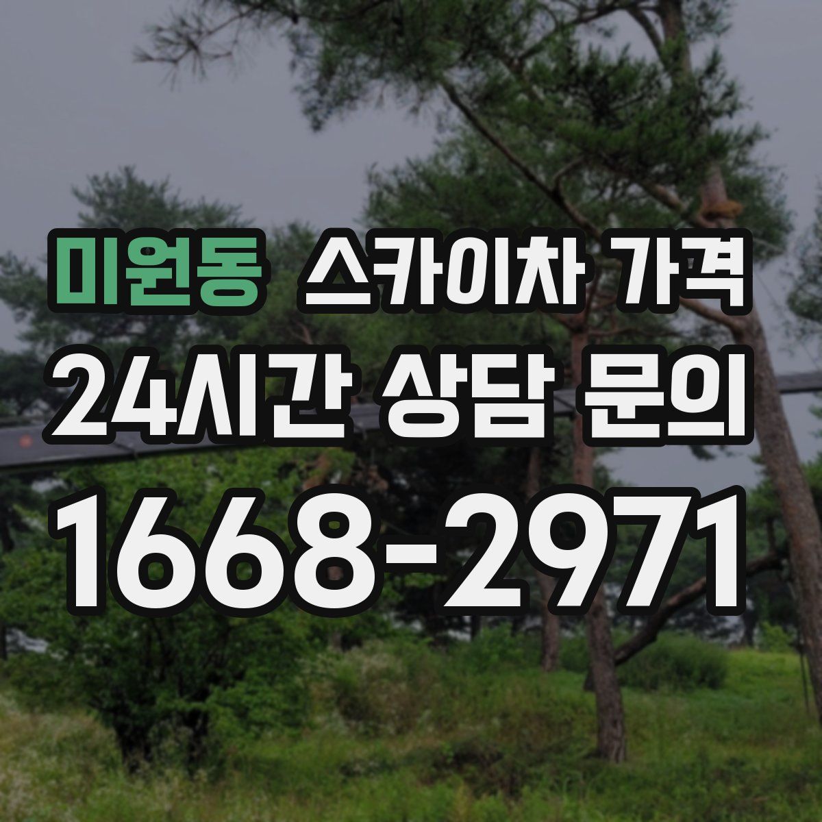 미원동 스카이차 가격