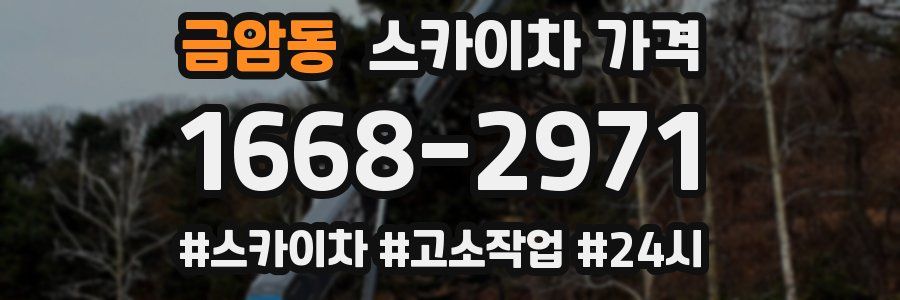 금암동 스카이차 가격