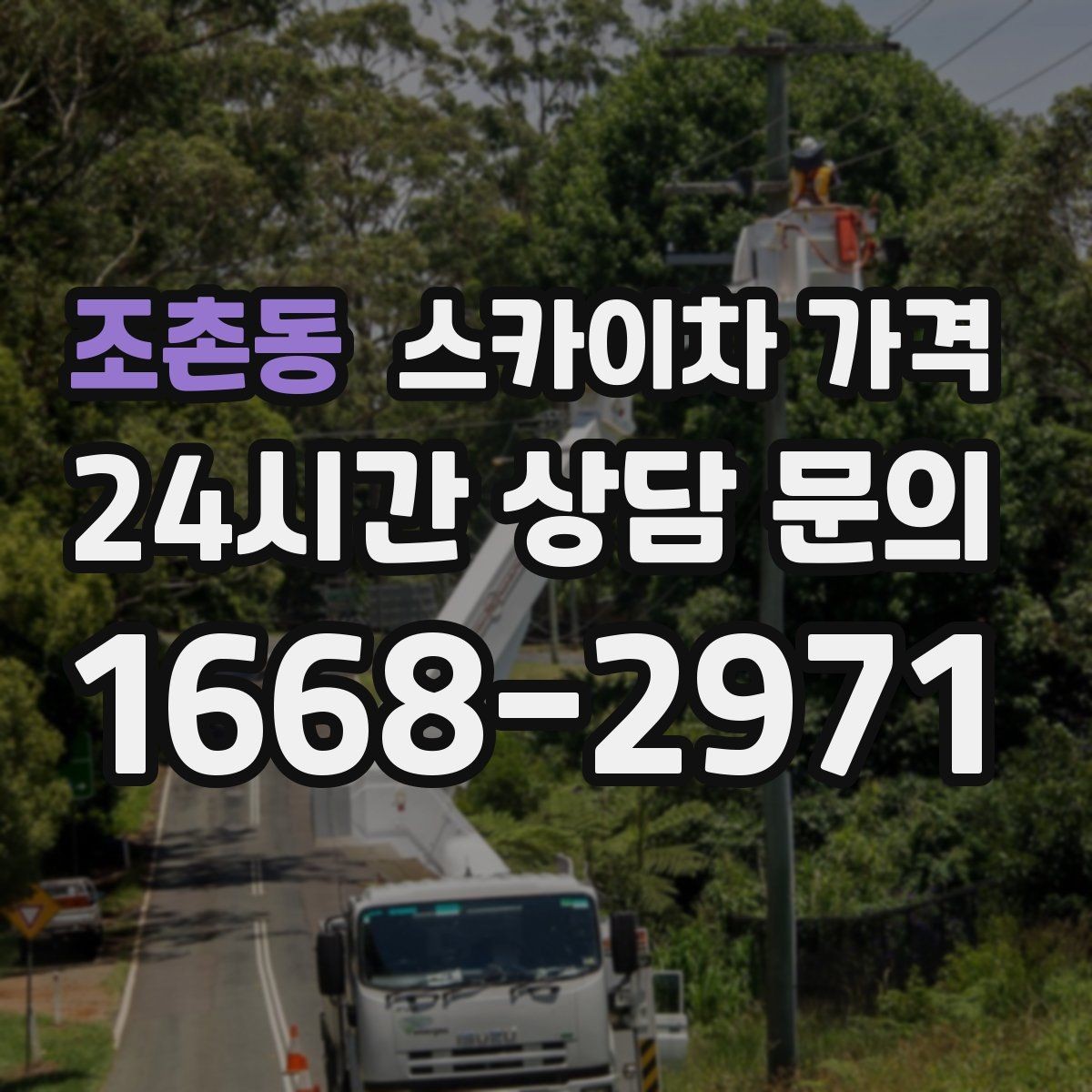 조촌동 스카이차 가격 시즌 장식 설치는 작업 시간대이 길어지는 이유