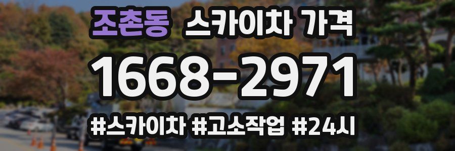 조촌동 스카이차 가격