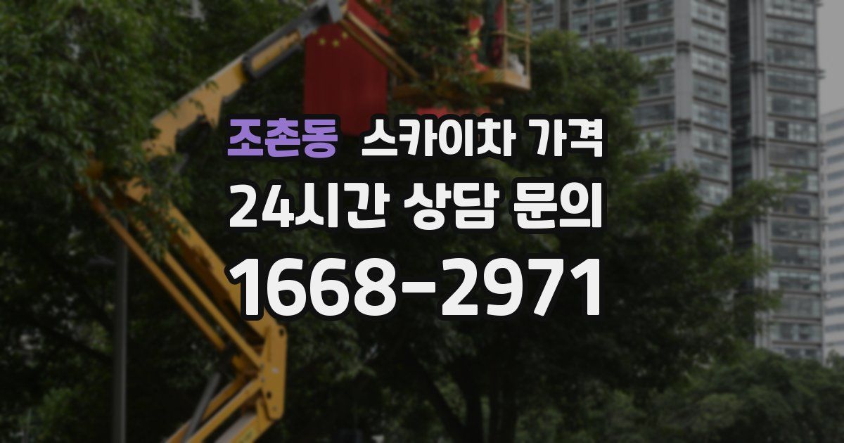 조촌동 스카이차 가격