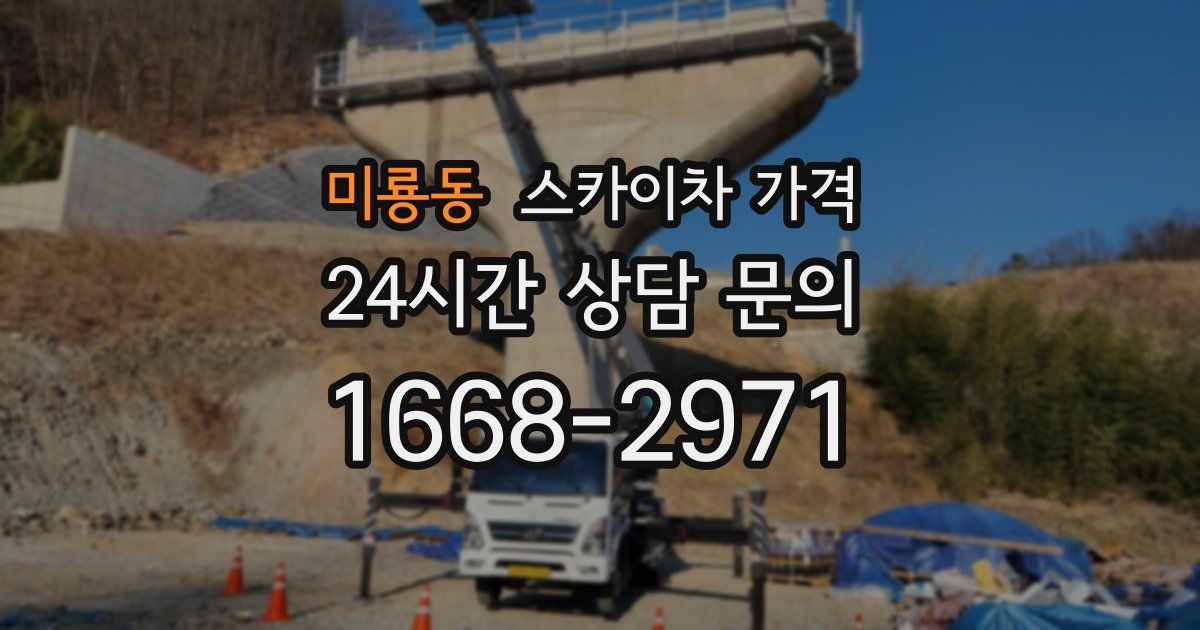 미룡동 스카이차 가격