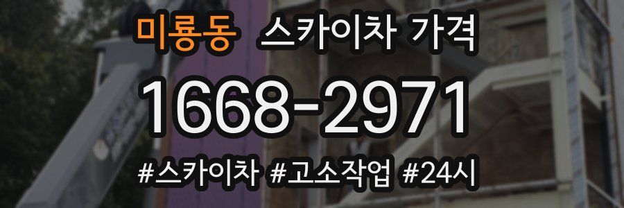 미룡동 스카이차 가격