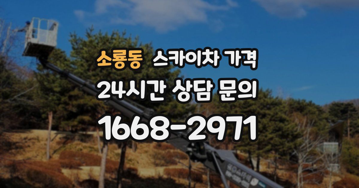 소룡동 스카이차 가격