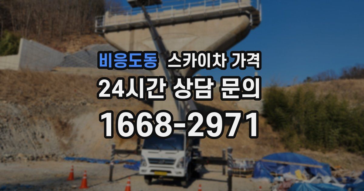 비응도동 스카이차 가격