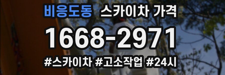 비응도동 스카이차 가격