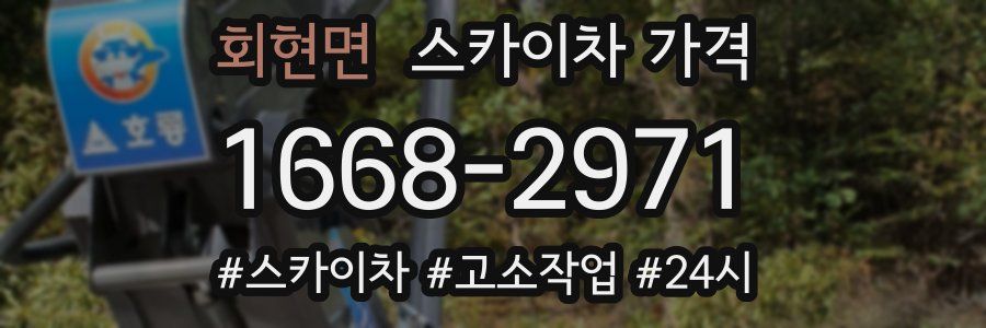 회현면 스카이차 가격
