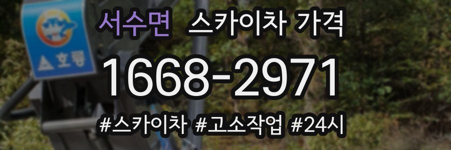 서수면 스카이차 가격