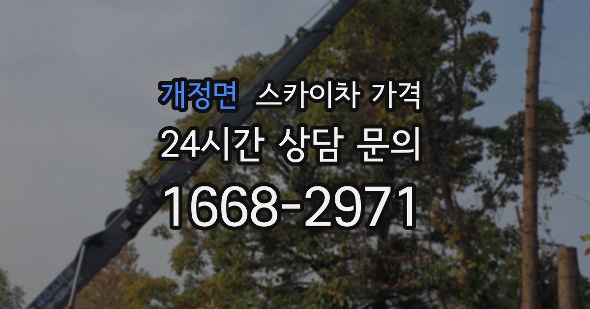 개정면 스카이차 가격
