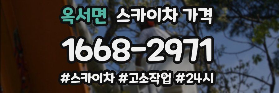 옥서면 스카이차 가격