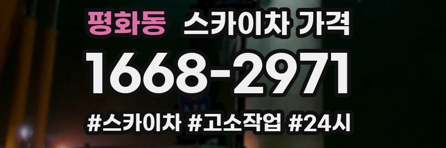 평화동 스카이차 가격