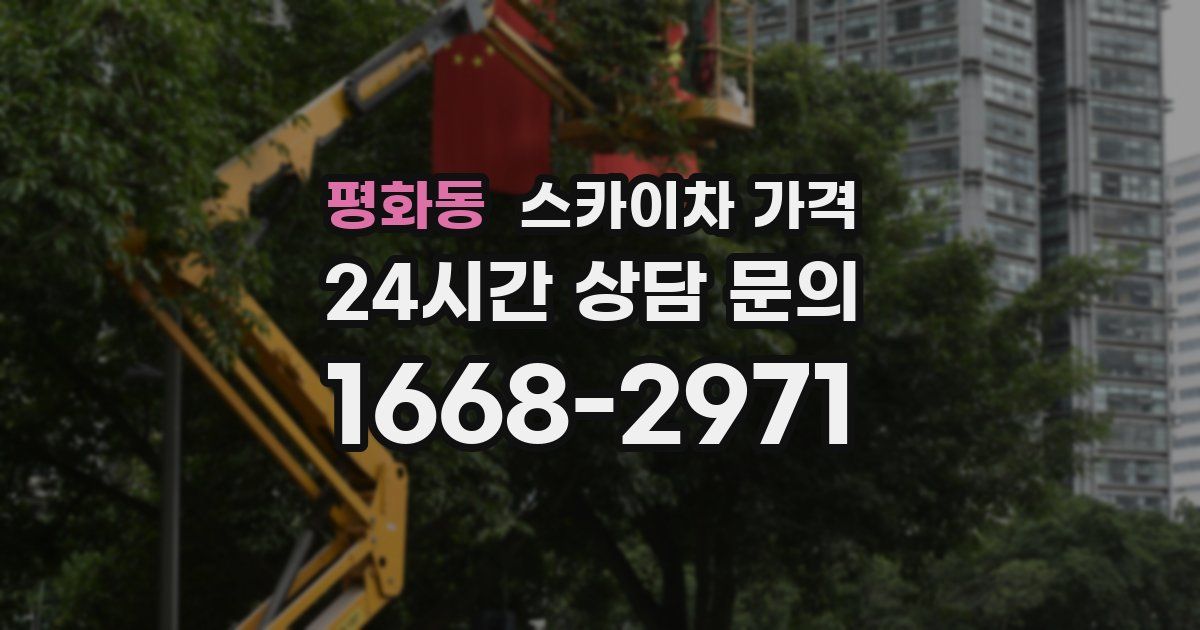 평화동 스카이차 가격
