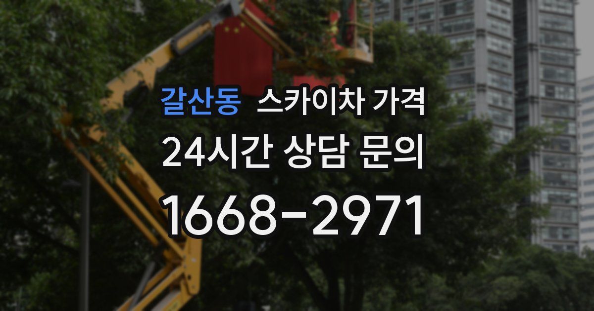 갈산동 스카이차 가격