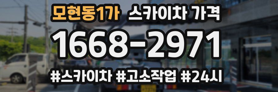 모현동1가 스카이차 가격