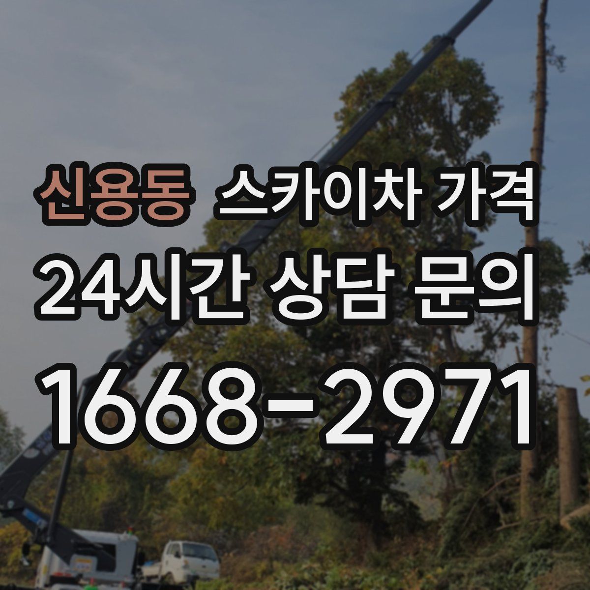 신용동 스카이차 가격