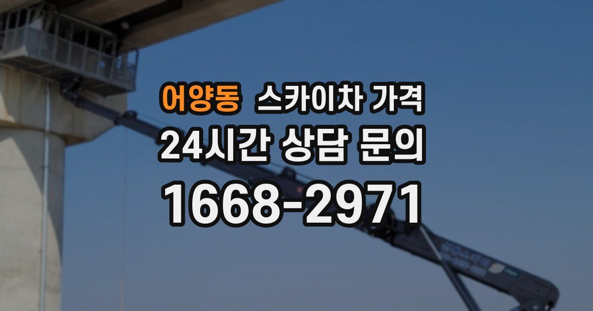 어양동 스카이차 가격