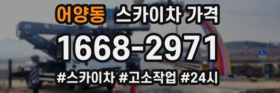 어양동 스카이차 가격