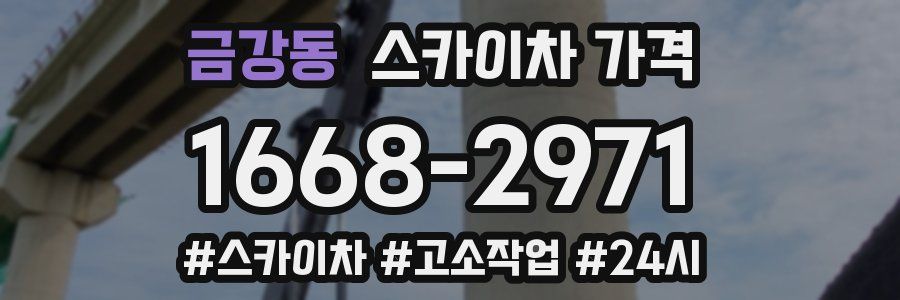 금강동 스카이차 가격