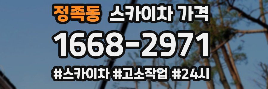 정족동 스카이차 가격