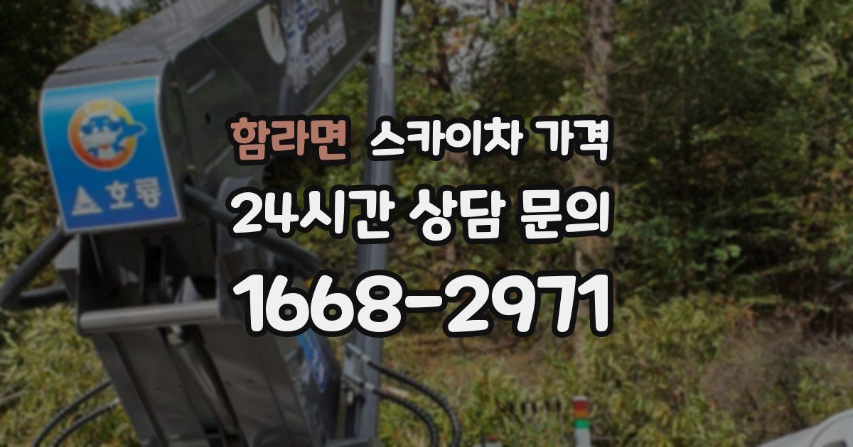 함라면 스카이차 가격