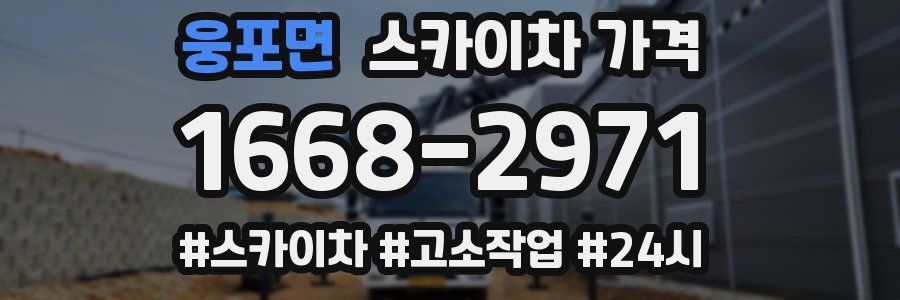 웅포면 스카이차 가격