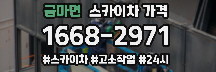 금마면 스카이차 가격