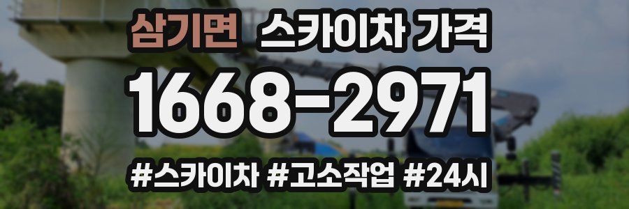 삼기면 스카이차 가격