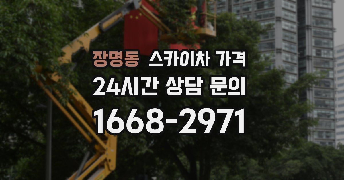 장명동 스카이차 가격