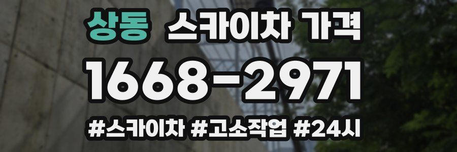 상동 스카이차 가격