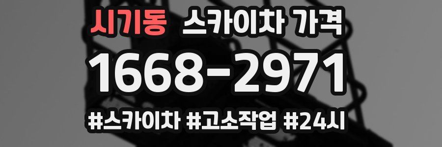 시기동 스카이차 가격