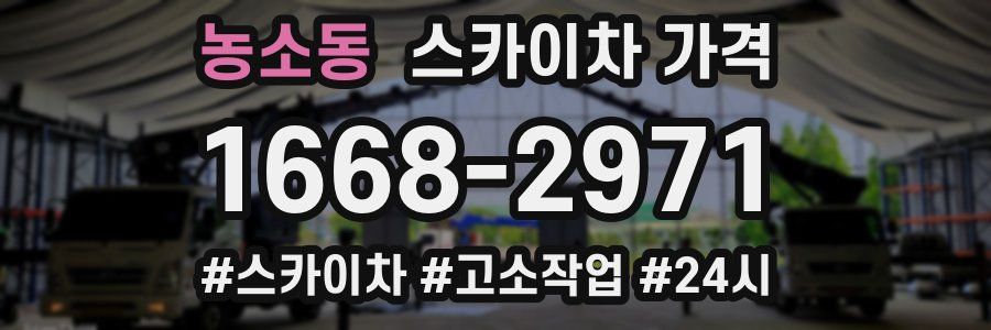 농소동 스카이차 가격