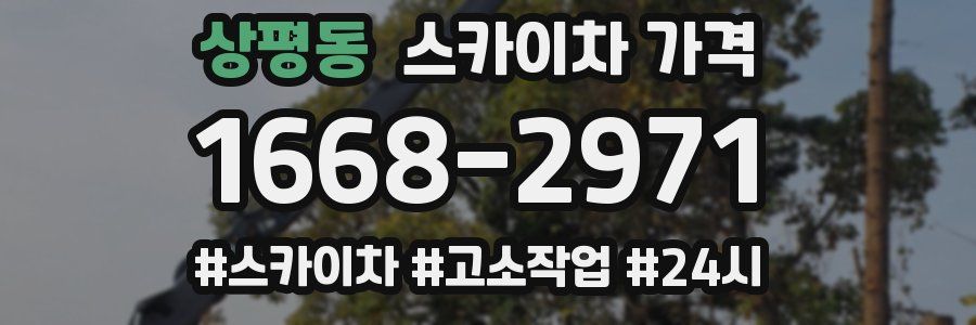 상평동 스카이차 가격