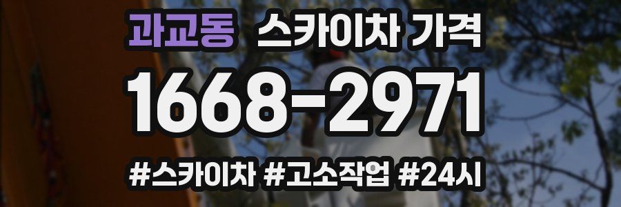 과교동 스카이차 가격