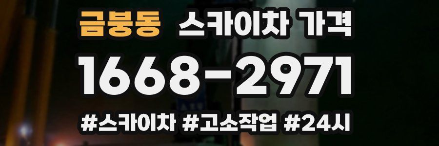 금붕동 스카이차 가격