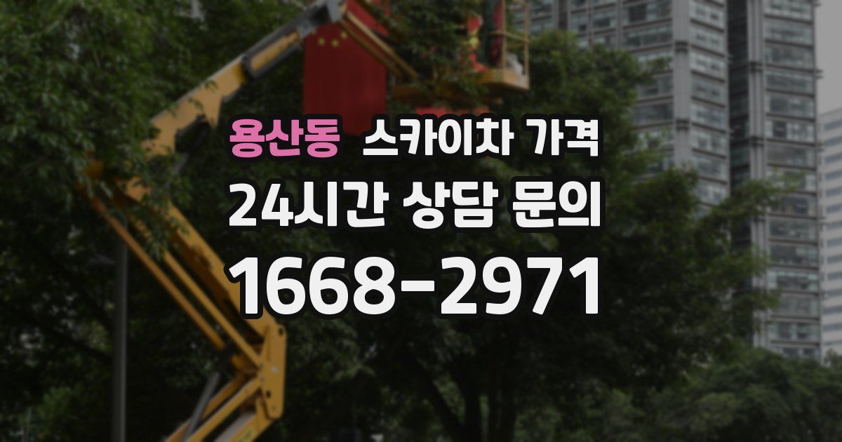 용산동 스카이차 가격