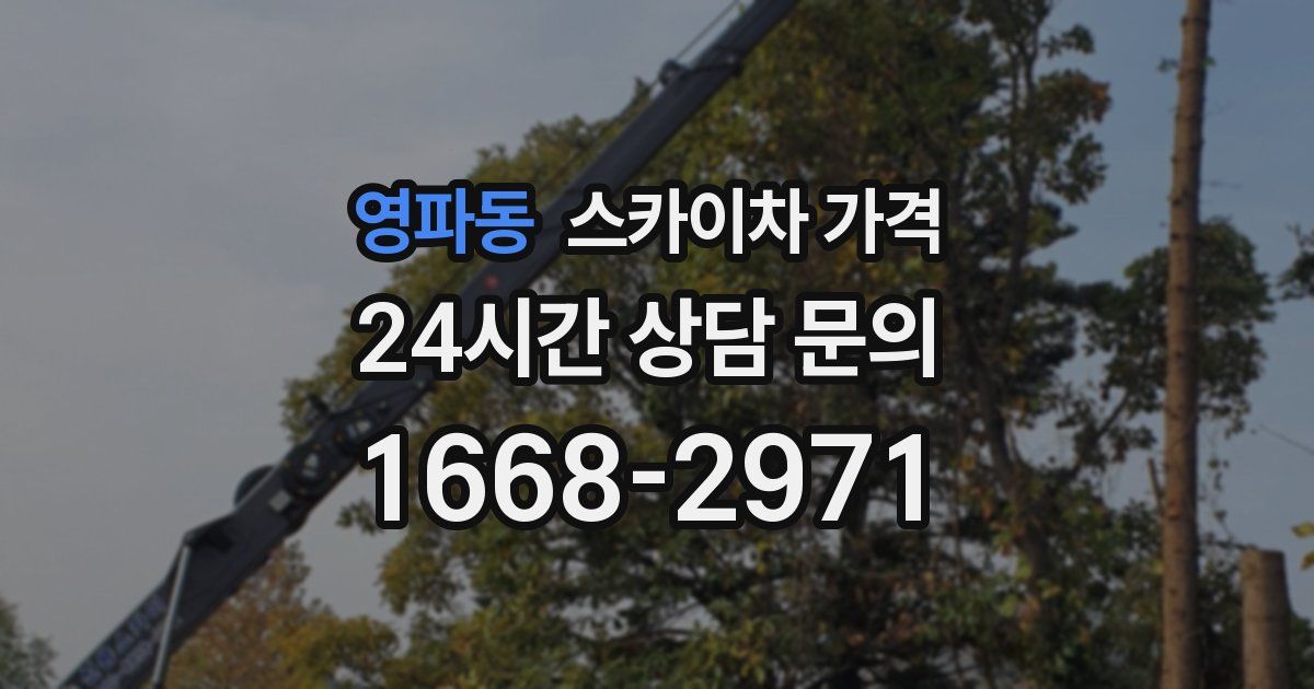 영파동 스카이차 가격