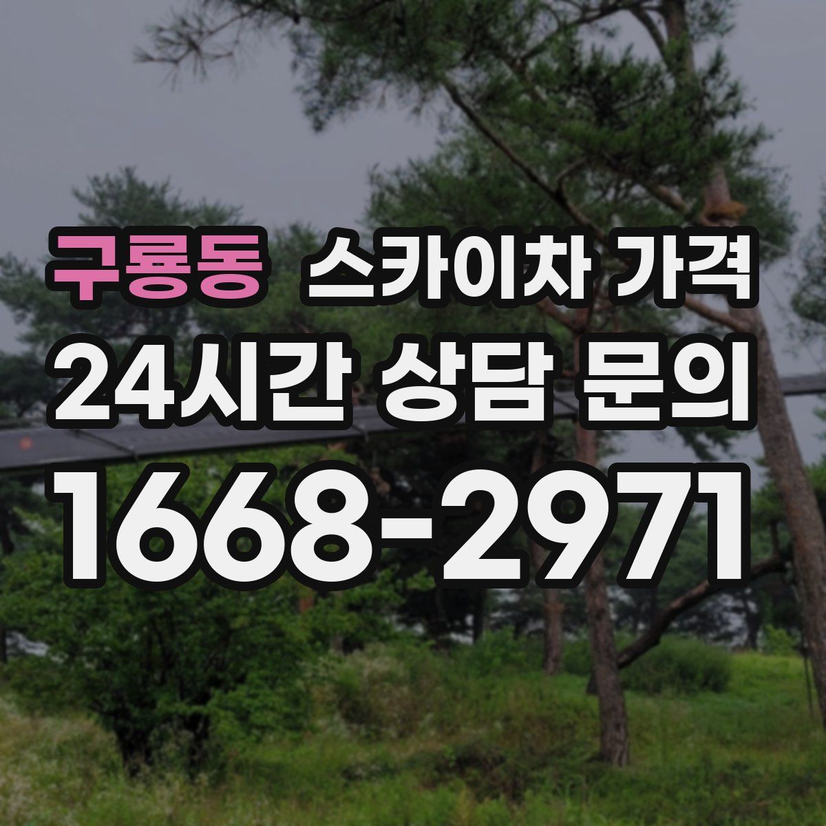 구룡동 스카이차 가격