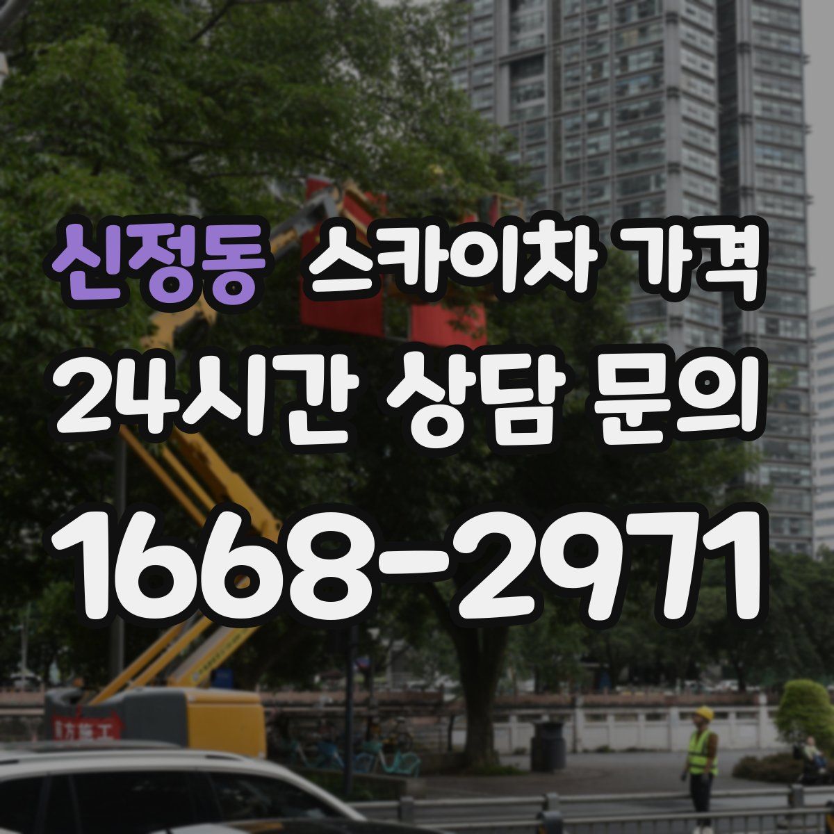 신정동 스카이차 가격