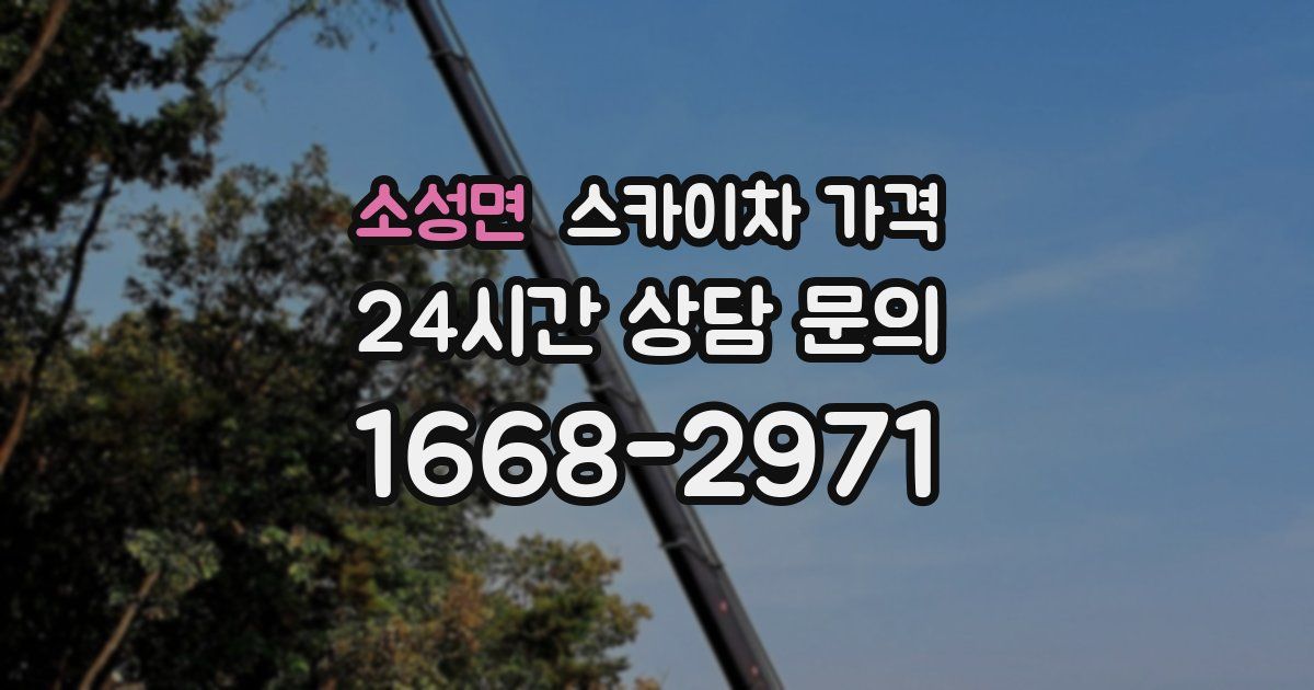 소성면 스카이차 가격