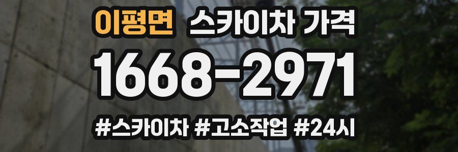 이평면 스카이차 가격