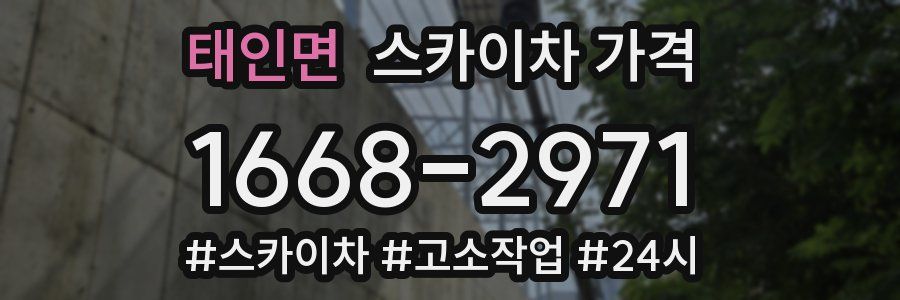 태인면 스카이차 가격