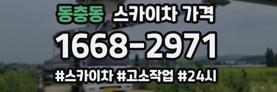 동충동 스카이차 가격