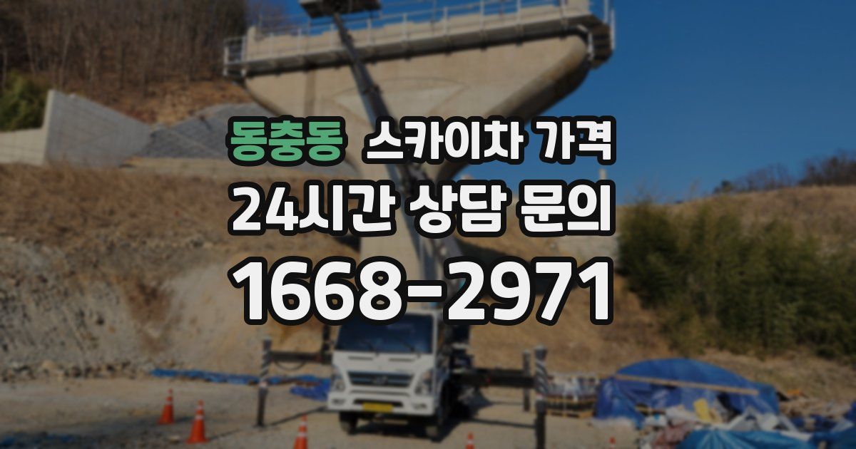 동충동 스카이차 가격