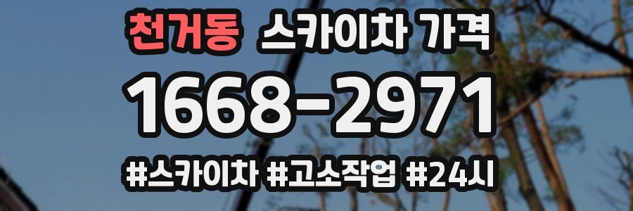 천거동 스카이차 가격