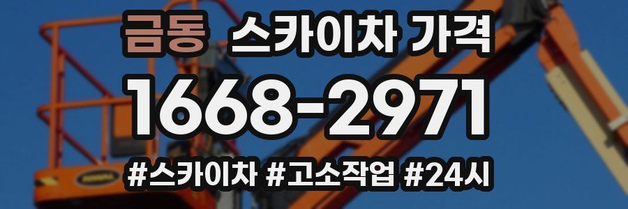 금동 스카이차 가격