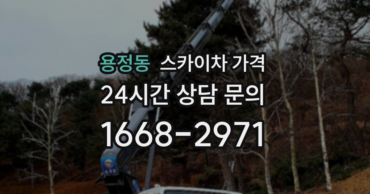 용정동 스카이차 가격