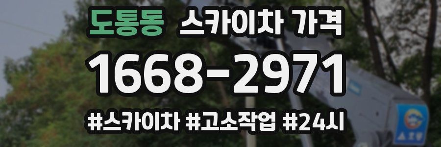 도통동 스카이차 가격