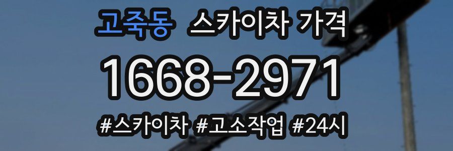 고죽동 스카이차 가격