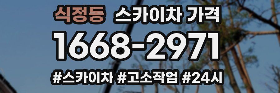 식정동 스카이차 가격